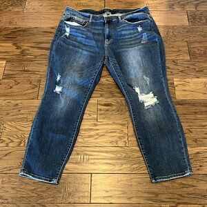 Judy Blue Slim Fit High Rise Size 22W